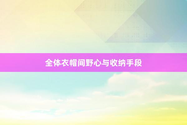 全体衣帽间野心与收纳手段