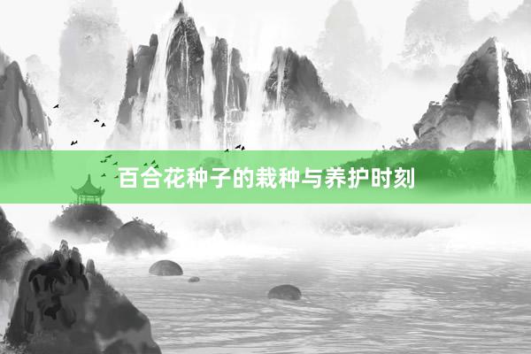 百合花种子的栽种与养护时刻